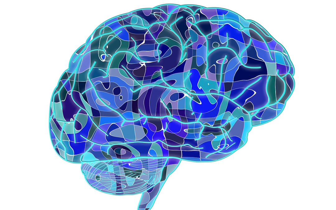 Samenwerking en participatie leidt tot (nog) betere CVA (na)zorg!