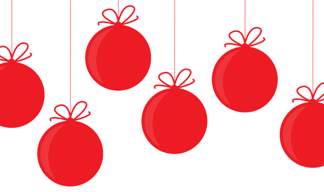 Eindejaarsbericht 2023: Fijne Kerstdagen en een goed 2024 gewenst!